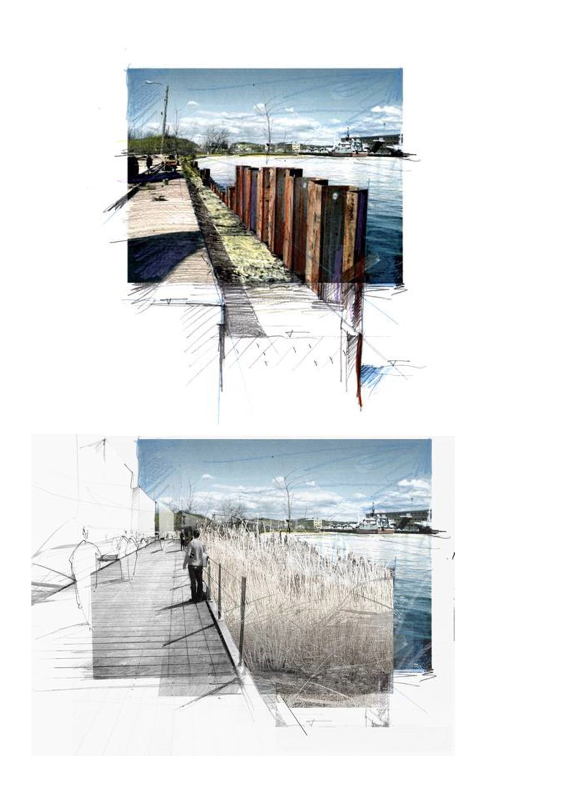Sketches of boardwalks, concetion to the water and vegetations 
strategies.