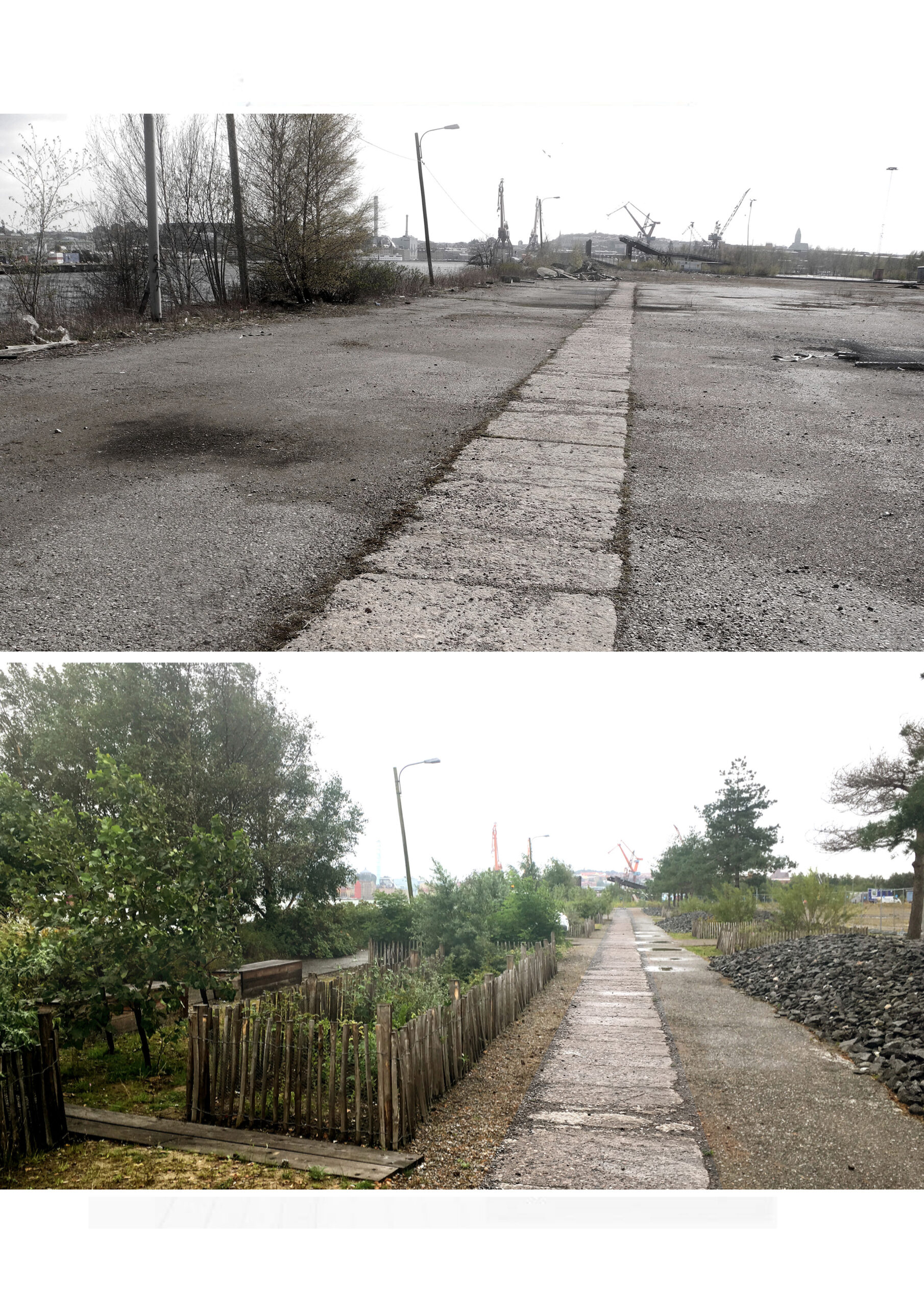 Temporary design with vegetation, before and after