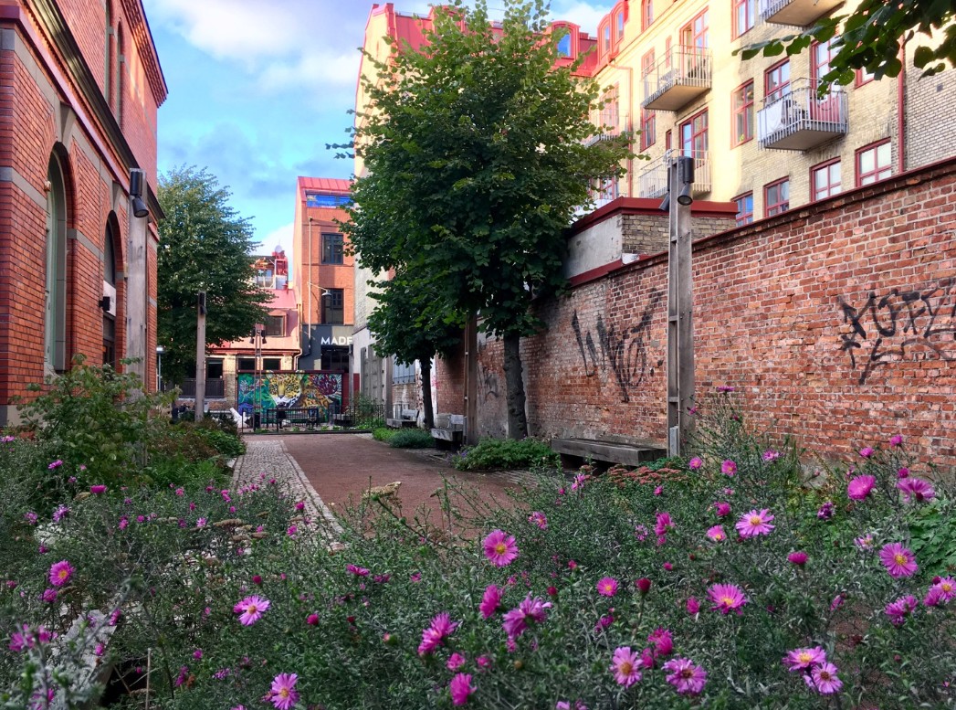 Skärmbild 2026-02-25 113911